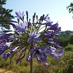 Le Hibou - La Cipiere Peyzac-le-Moustier